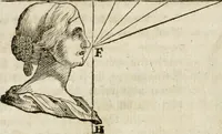 An illustration from Des Herrn Leonhard von Vinci, ersten Mahlers in Florenz, Praktisches Werk von der Mahlerey : worinnen diese vortrefliche Kunst hauptsächlich nach geometrisch- optisch- und mechanischen Grunden gelehret : wie auch nach anatomischen Regeln die verschiedenen Stellungen, Bewegungen und Berrichtungen der Glieder des menschlichen Körpors, deutlich vorgestellet wird (1786)