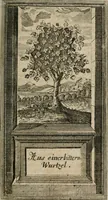 An illustration from Des Hocherleuchteten Sel. Johann Arndts, General-Superintendentens des Fürstenthums Lüneburg, Fünff geistreiche Bücher, vom wahren Christenthum ... : Welchen noch beygefüget drey andere kleine Bücher welchen zu des sel. Joahnn Arndts wahren Christenthum gehörig .. (1740)