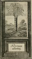 Picture 27 of 92 from Des Hocherleuchteten Sel. Johann Arndts, General-Superintendentens des Fürstenthums Lüneburg, Fünff geistreiche Bücher, vom wahren Christenthum ... : Welchen noch beygefüget drey andere kleine Bücher welchen zu des sel. Joahnn Arndts wahren Christenthum gehörig .. (1740), leaf 292