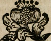 An illustration from Des Hocherleuchteten Sel. Johann Arndts, General-Superintendentens des Fürstenthums Lüneburg, Fünff geistreiche Bücher, vom wahren Christenthum ... : Welchen noch beygefüget drey andere kleine Bücher welchen zu des sel. Joahnn Arndts wahren Christenthum gehörig .. (1740)