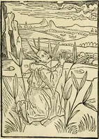 An illustration from Des hochwirdigen doctor Keiserspergs narenschiff : so er gepredigt hat zü Strassburg in der hohen stifft daselbst Predictãt d. zeit i498 dis geprediget :vnd vss latin in tütsch bracht, darin vil weissheit ist zü lerne, vnd leert auch die narreschel hinweck werffen ist nütz vnd güt alen menschen (1520)