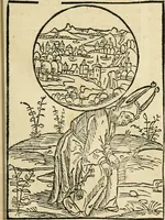 An illustration from Des hochwirdigen doctor Keiserspergs narenschiff : so er gepredigt hat zü Strassburg in der hohen stifft daselbst Predictãt d. zeit i498 dis geprediget :vnd vss latin in tütsch bracht, darin vil weissheit ist zü lerne, vnd leert auch die narreschel hinweck werffen ist nütz vnd güt alen menschen (1520)