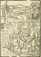 Picture 37 of 130 from Des hochwirdigen doctor Keiserspergs narenschiff : so er gepredigt hat zü Strassburg in der hohen stifft daselbst Predictãt d. zeit i498 dis geprediget :vnd vss latin in tütsch bracht, darin vil weissheit ist zü lerne, vnd leert auch die narreschel hinweck werffen ist nütz vnd güt alen menschen (1520), leaf 121