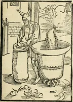 An illustration from Des hochwirdigen doctor Keiserspergs narenschiff : so er gepredigt hat zü Strassburg in der hohen stifft daselbst Predictãt d. zeit i498 dis geprediget :vnd vss latin in tütsch bracht, darin vil weissheit ist zü lerne, vnd leert auch die narreschel hinweck werffen ist nütz vnd güt alen menschen (1520)
