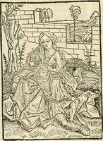 An illustration from Des hochwirdigen doctor Keiserspergs narenschiff : so er gepredigt hat zü Strassburg in der hohen stifft daselbst Predictãt d. zeit i498 dis geprediget :vnd vss latin in tütsch bracht, darin vil weissheit ist zü lerne, vnd leert auch die narreschel hinweck werffen ist nütz vnd güt alen menschen (1520)