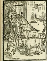 An illustration from Des hochwirdigen doctor Keiserspergs narenschiff : so er gepredigt hat zü Strassburg in der hohen stifft daselbst Predictãt d. zeit i498 dis geprediget :vnd vss latin in tütsch bracht, darin vil weissheit ist zü lerne, vnd leert auch die narreschel hinweck werffen ist nütz vnd güt alen menschen (1520)