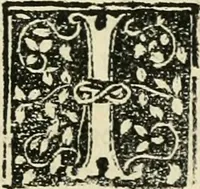 An illustration from Des hochwirdigen doctor Keiserspergs narenschiff : so er gepredigt hat zü Strassburg in der hohen stifft daselbst Predictãt d. zeit i498 dis geprediget :vnd vss latin in tütsch bracht, darin vil weissheit ist zü lerne, vnd leert auch die narreschel hinweck werffen ist nütz vnd güt alen menschen (1520)
