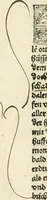 An illustration from Des hochwirdigen doctor Keiserspergs narenschiff : so er gepredigt hat zü Strassburg in der hohen stifft daselbst Predictãt d. zeit i498 dis geprediget :vnd vss latin in tütsch bracht, darin vil weissheit ist zü lerne, vnd leert auch die narreschel hinweck werffen ist nütz vnd güt alen menschen (1520)