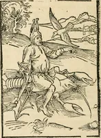 An illustration from Des hochwirdigen doctor Keiserspergs narenschiff : so er gepredigt hat zü Strassburg in der hohen stifft daselbst Predictãt d. zeit i498 dis geprediget :vnd vss latin in tütsch bracht, darin vil weissheit ist zü lerne, vnd leert auch die narreschel hinweck werffen ist nütz vnd güt alen menschen (1520)