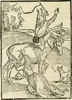 An illustration from Des hochwirdigen doctor Keiserspergs narenschiff : so er gepredigt hat zü Strassburg in der hohen stifft daselbst Predictãt d. zeit i498 dis geprediget :vnd vss latin in tütsch bracht, darin vil weissheit ist zü lerne, vnd leert auch die narreschel hinweck werffen ist nütz vnd güt alen menschen (1520)