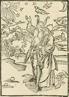 An illustration from Des hochwirdigen doctor Keiserspergs narenschiff : so er gepredigt hat zü Strassburg in der hohen stifft daselbst Predictãt d. zeit i498 dis geprediget :vnd vss latin in tütsch bracht, darin vil weissheit ist zü lerne, vnd leert auch die narreschel hinweck werffen ist nütz vnd güt alen menschen (1520)