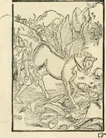 Picture 100 of 130 from Des hochwirdigen doctor Keiserspergs narenschiff : so er gepredigt hat zü Strassburg in der hohen stifft daselbst Predictãt d. zeit i498 dis geprediget :vnd vss latin in tütsch bracht, darin vil weissheit ist zü lerne, vnd leert auch die narreschel hinweck werffen ist nütz vnd güt alen menschen (1520), leaf 325