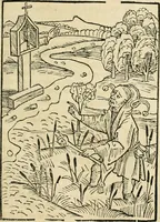 An illustration from Des hochwirdigen doctor Keiserspergs narenschiff : so er gepredigt hat zü Strassburg in der hohen stifft daselbst Predictãt d. zeit i498 dis geprediget :vnd vss latin in tütsch bracht, darin vil weissheit ist zü lerne, vnd leert auch die narreschel hinweck werffen ist nütz vnd güt alen menschen (1520)