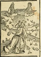 An illustration from Des hochwirdigen doctor Keiserspergs narenschiff : so er gepredigt hat zü Strassburg in der hohen stifft daselbst Predictãt d. zeit i498 dis geprediget :vnd vss latin in tütsch bracht, darin vil weissheit ist zü lerne, vnd leert auch die narreschel hinweck werffen ist nütz vnd güt alen menschen (1520)