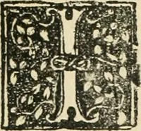 Picture 107 of 130 from Des hochwirdigen doctor Keiserspergs narenschiff : so er gepredigt hat zü Strassburg in der hohen stifft daselbst Predictãt d. zeit i498 dis geprediget :vnd vss latin in tütsch bracht, darin vil weissheit ist zü lerne, vnd leert auch die narreschel hinweck werffen ist nütz vnd güt alen menschen (1520), leaf 346