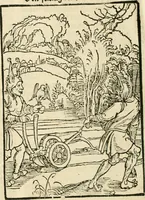 An illustration from Des hochwirdigen doctor Keiserspergs narenschiff : so er gepredigt hat zü Strassburg in der hohen stifft daselbst Predictãt d. zeit i498 dis geprediget :vnd vss latin in tütsch bracht, darin vil weissheit ist zü lerne, vnd leert auch die narreschel hinweck werffen ist nütz vnd güt alen menschen (1520)