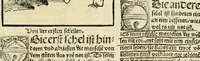 An illustration from Des hochwirdigen doctor Keiserspergs narenschiff : so er gepredigt hat zü Strassburg in der hohen stifft daselbst Predictãt d. zeit i498 dis geprediget :vnd vss latin in tütsch bracht, darin vil weissheit ist zü lerne, vnd leert auch die narreschel hinweck werffen ist nütz vnd güt alen menschen (1520)