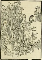 An illustration from Des hochwirdigen doctor Keiserspergs narenschiff : so er gepredigt hat zü Strassburg in der hohen stifft daselbst Predictãt d. zeit i498 dis geprediget :vnd vss latin in tütsch bracht, darin vil weissheit ist zü lerne, vnd leert auch die narreschel hinweck werffen ist nütz vnd güt alen menschen (1520)