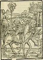 An illustration from Des hochwirdigen doctor Keiserspergs narenschiff : so er gepredigt hat zü Strassburg in der hohen stifft daselbst Predictãt d. zeit i498 dis geprediget :vnd vss latin in tütsch bracht, darin vil weissheit ist zü lerne, vnd leert auch die narreschel hinweck werffen ist nütz vnd güt alen menschen (1520)