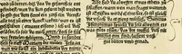 An illustration from Des hochwirdigen doctor Keiserspergs narenschiff : so er gepredigt hat zü Strassburg in der hohen stifft daselbst Predictãt d. zeit i498 dis geprediget :vnd vss latin in tütsch bracht, darin vil weissheit ist zü lerne, vnd leert auch die narreschel hinweck werffen ist nütz vnd güt alen menschen (1520)