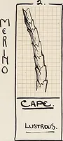 Picture 12 of 80 from Design book (1912), leaf 15