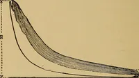 An illustration from The design and construction of oil engines; (1900)