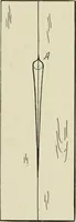 An illustration from Design and construction in wood (1916)