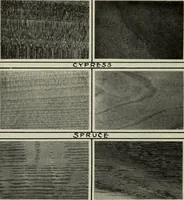 An illustration from Design and construction in wood (1916)