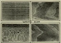 An illustration from Design and construction in wood (1916)