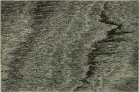 An illustration from Design and construction in wood (1916)