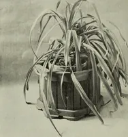 Picture 47 of 168 from Design and construction in wood (1916), leaf 56