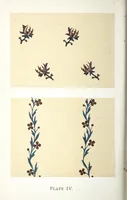 Picture 5 of 8 from Design in textile fabrics (1899), leaf 168