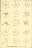 An illustration from Design and representation (1910)