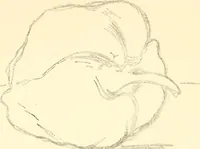 An illustration from Design and representation (1910)