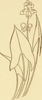 An illustration from Design and representation (1910)
