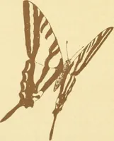 An illustration from Design and representation (1910)