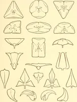 Picture 16 of 52 from Design and representation (1910), leaf 44