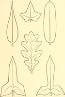 An illustration from Design and representation (1910)