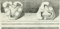 An illustration from Designs for Gothic ornaments & furniture, after the ancient manner, for ecclesiastical and domestic purposes, for the use of architects, and workers in metal, stone, wood, etc., etc (1854)