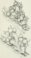An illustration from Designs for Gothic ornaments & furniture, after the ancient manner, for ecclesiastical and domestic purposes, for the use of architects, and workers in metal, stone, wood, etc., etc (1854)