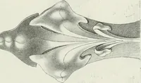 An illustration from Designs for Gothic ornaments & furniture, after the ancient manner, for ecclesiastical and domestic purposes, for the use of architects, and workers in metal, stone, wood, etc., etc (1854)