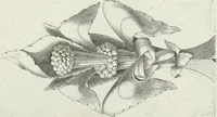 An illustration from Designs for Gothic ornaments & furniture, after the ancient manner, for ecclesiastical and domestic purposes, for the use of architects, and workers in metal, stone, wood, etc., etc (1854)