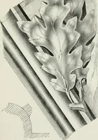An illustration from Designs for Gothic ornaments & furniture, after the ancient manner, for ecclesiastical and domestic purposes, for the use of architects, and workers in metal, stone, wood, etc., etc (1854)