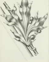 An illustration from Designs for Gothic ornaments & furniture, after the ancient manner, for ecclesiastical and domestic purposes, for the use of architects, and workers in metal, stone, wood, etc., etc (1854)