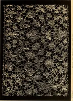 An illustration from Designs for lace making (1870)