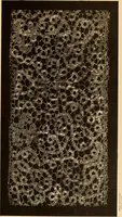 An illustration from Designs for lace making (1870)