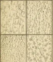 Picture 9 of 49 from Designs for ornamental window glass : with explanatory remarks and an index : 1st March, 1847 (1847), leaf 29