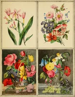 An illustration from Designs for ornamental window glass : with explanatory remarks and an index : 1st March, 1847 (1847)