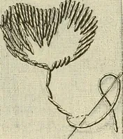An illustration from Designs and patterns for needle work (1873)
