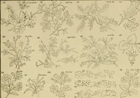 An illustration from Designs and patterns for needle work (1873)